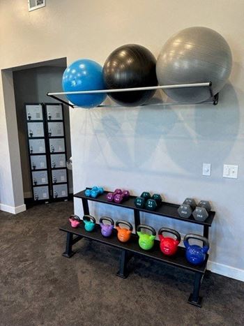 Free weights